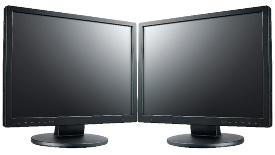 2x 19" Monitor